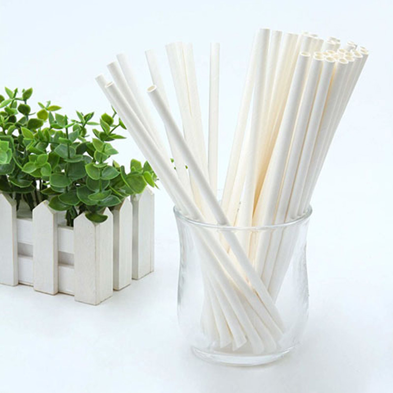 Straw PLA biodegradabile usa e getta